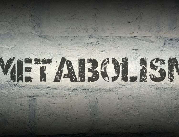 Struggling to boost metabolism after 40?