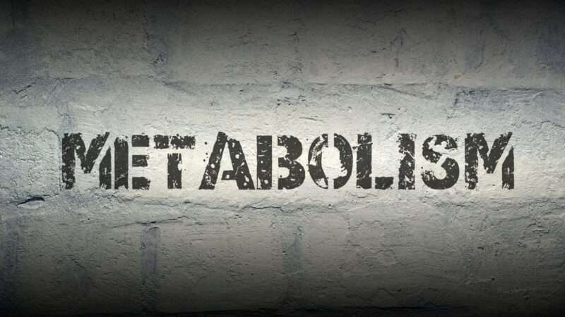 Struggling to boost metabolism after 40?