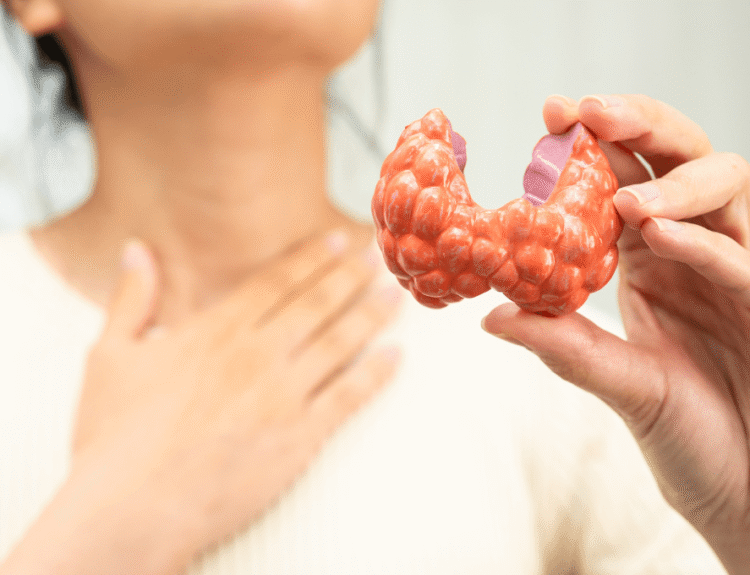 Thyroid Support for Women Over 40