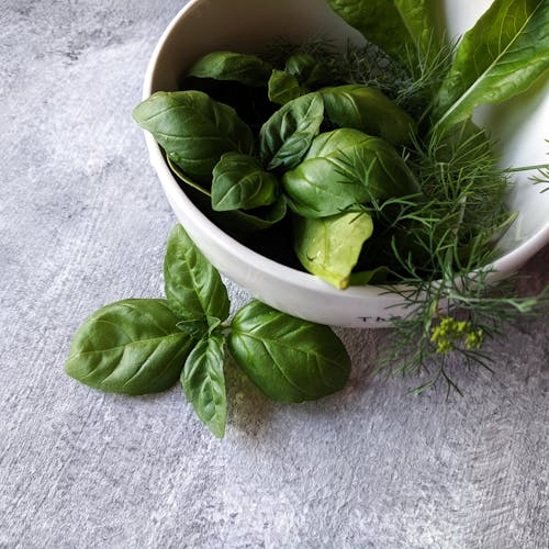 adaptogens hormone balance Australia